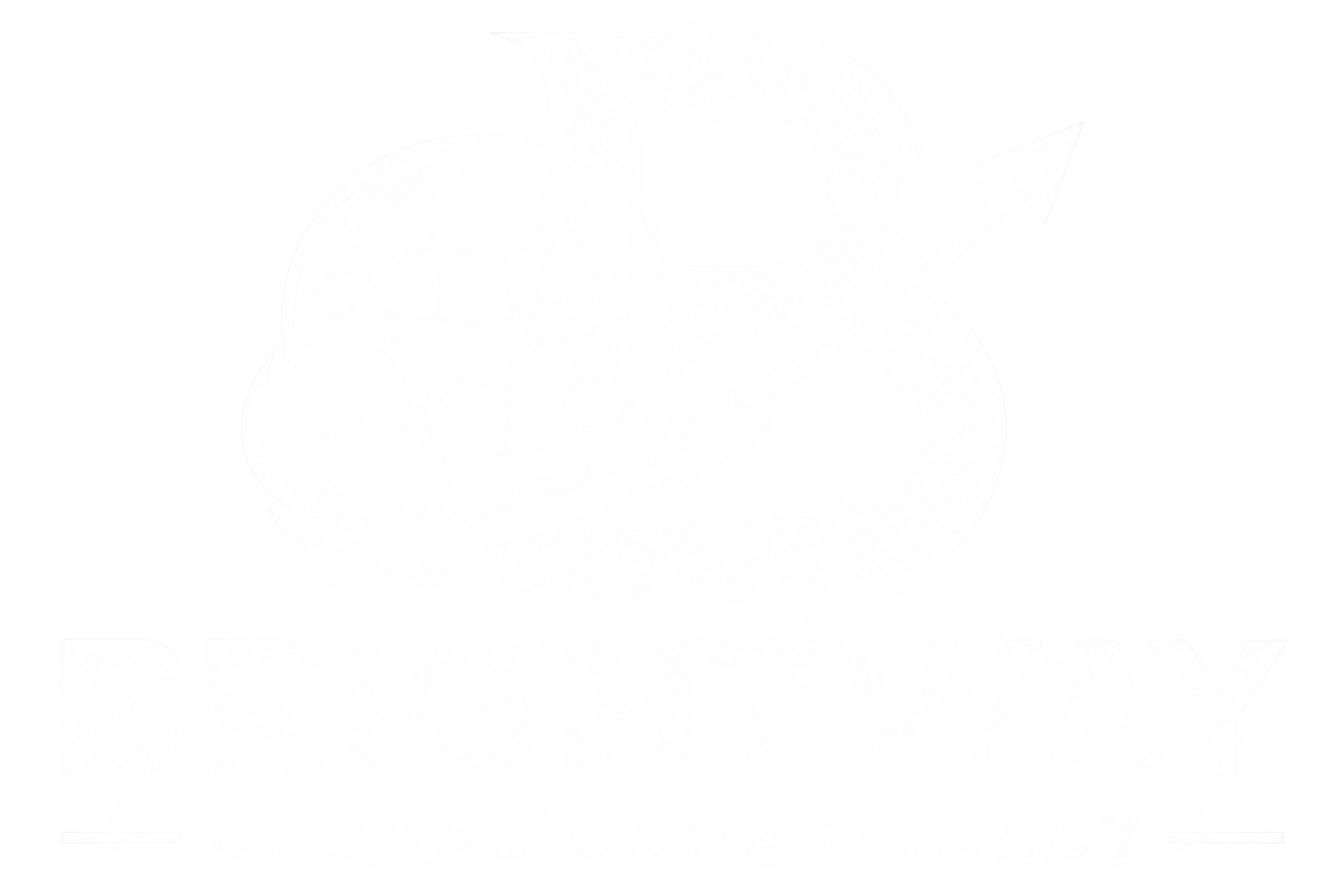 Bright way logo white